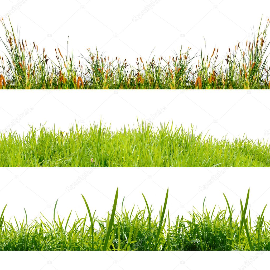 green nature background