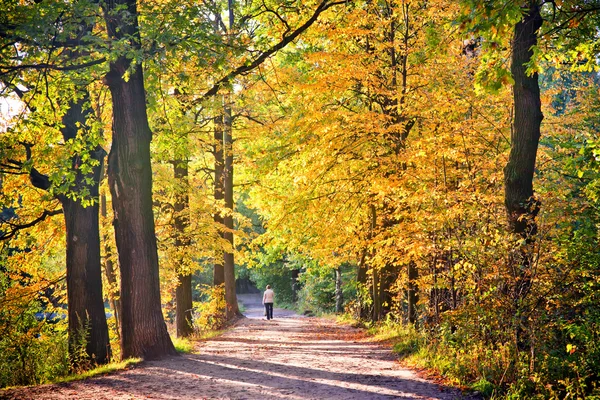September — Stock Image September Royalty Free Stock Photos