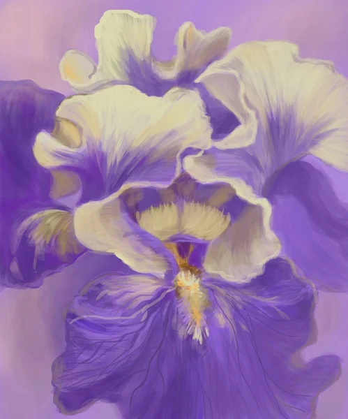 Schilderij iris — Stockfoto