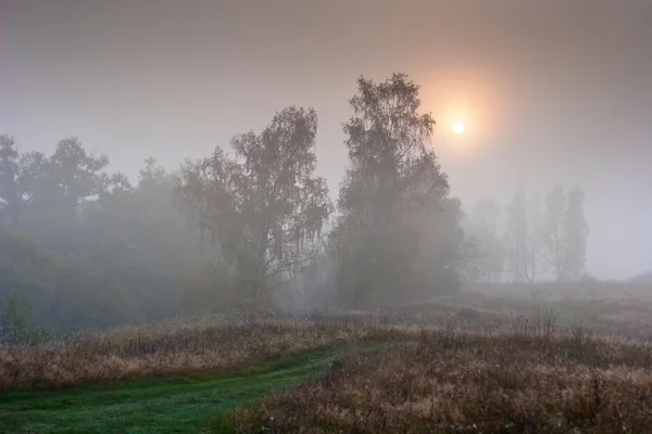 Herfst landschap op mistige ochtend — Stockfoto