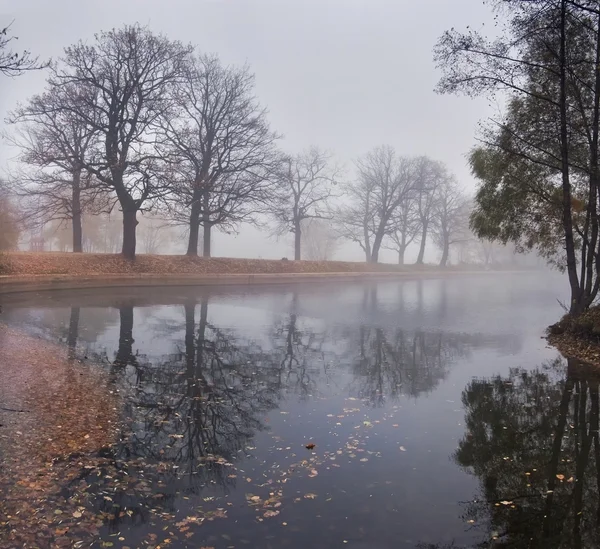 Autumn misty park — Stock Photo, Image