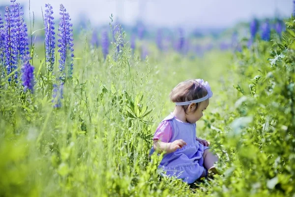 Портрет маленької дівчинки в полі квітів — стокове фото