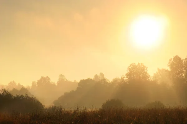 霧の深い朝時の秋の風景 — ストック写真
