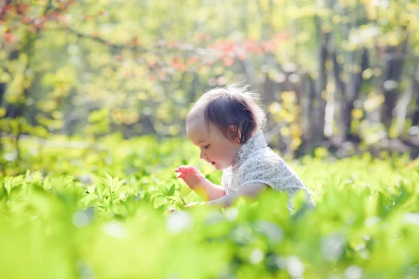 Μικρό κορίτσι στο δάσος άνοιξη — Φωτογραφία Αρχείου