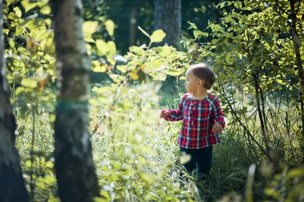 Liten flicka i vår skog — Stockfoto