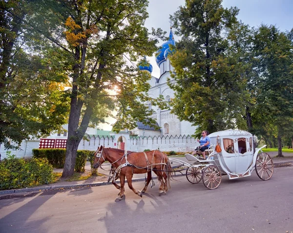 Carriage with horses — Stock Photo, Image