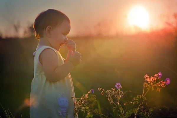 Παιδί σε ένα λουλούδι πεδίο — Φωτογραφία Αρχείου