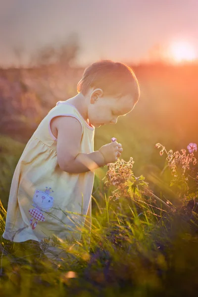 Barn i en blomma-fältet — Stockfoto