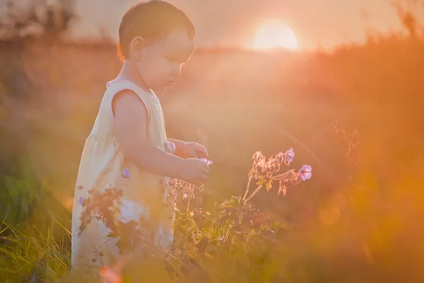 Barn i en blomma-fältet — Stockfoto