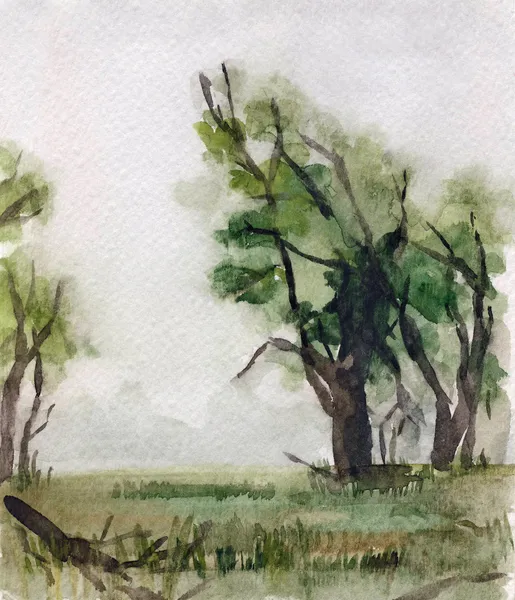 Beau paysage aquarelle avec des arbres — Photo