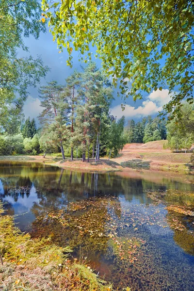 Forest lake — Stock Image Forest lake Royalty Free Stock Images