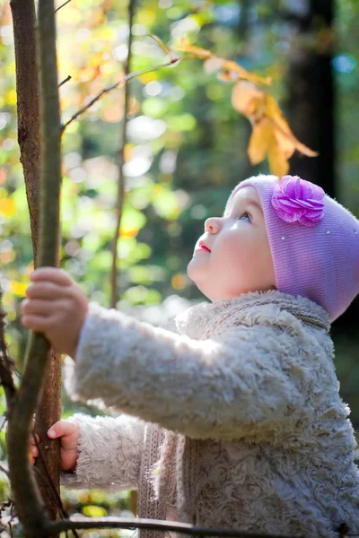 Niña jugando con hojas en el parque de otoño — Foto de Stock