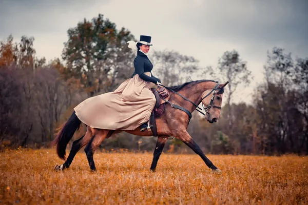 Horse-hunting with ladies in riding habit — Stock Photo, Image