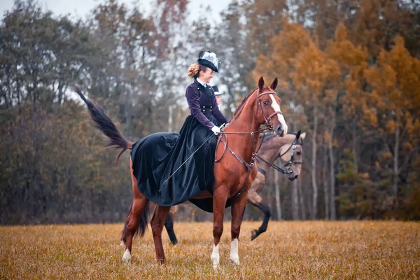 乗馬服の女性を持つ馬狩猟 — ストック写真