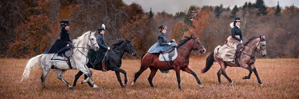 Caza de caballos con damas en hábito de montar —  Fotos de Stock