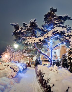 Kış yolu ile Noel Aydınlatmaları