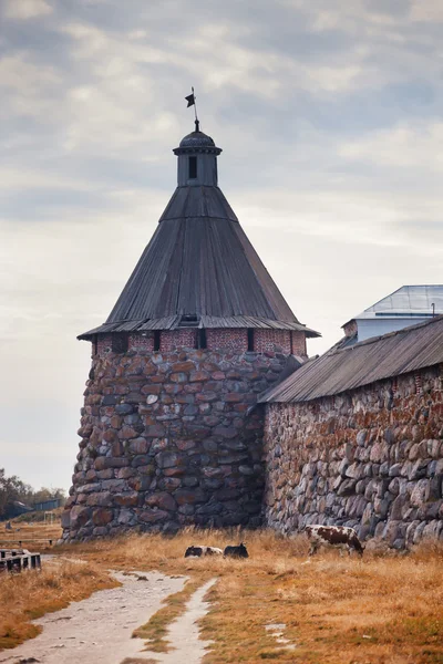 Solovetsky monastery — Stock Photo, Image