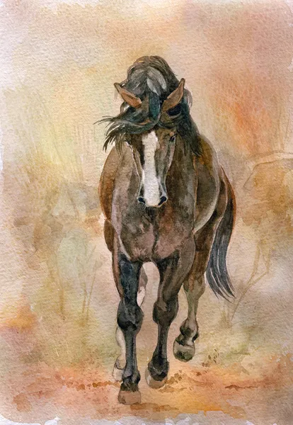 Watercolor picture of beautiful Chestnut horse — Stock Photo, Image