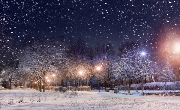 Parque nocturno bajo la primera nieve — Foto de Stock