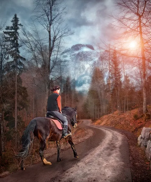 Верховая езда во сне через Альпы — стоковое фото