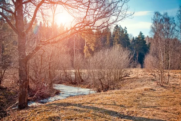 Lago na primavera — Fotografia de Stock