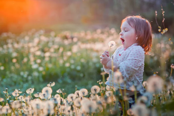 Liten flicka med maskros — Stockfoto