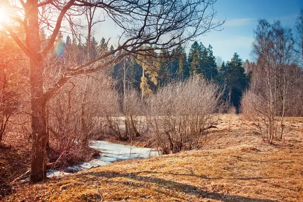 Lago na primavera — Fotografia de Stock