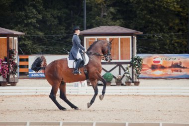 Uluslararası terbiye 