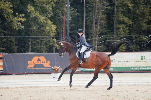 International Dressage "Vivat, Russie !" — Photo