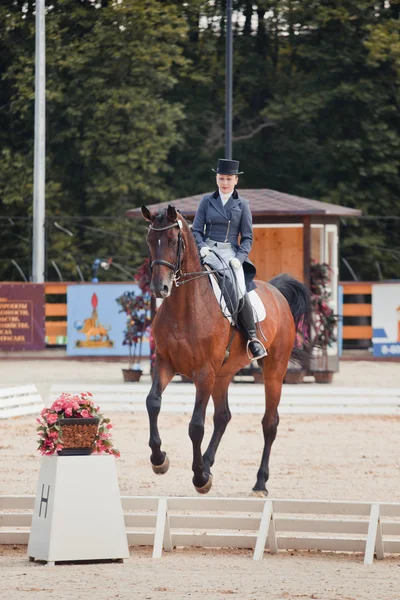 Dressage internazionale "Vivat, Russia !" — Foto Stock