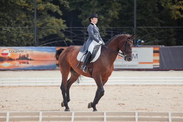 Dressage internazionale "Vivat, Russia !" — Foto Stock