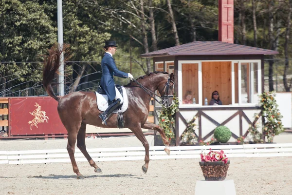 Medalhista Marina Aframeeva cavalo chamado Vosk — Fotografia de Stock