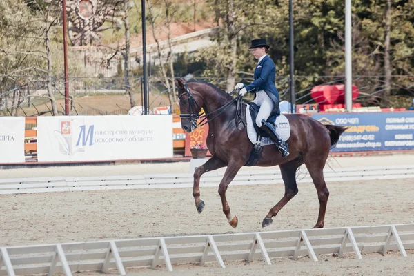 Medallista Marina Aframeeva caballo llamado Vosk — Foto de Stock