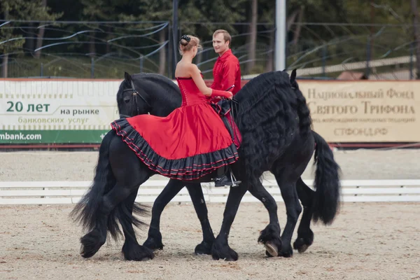 Performance de démonstration - Tango sur le cheval friesien de HBF "Kartsevo " — Photo