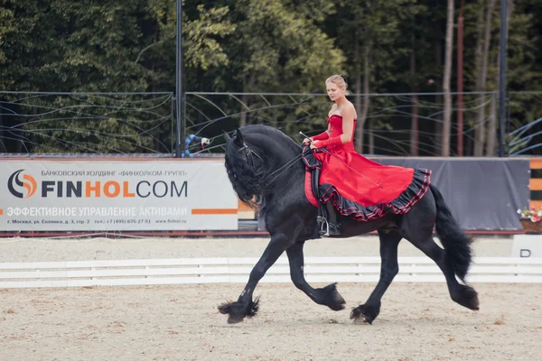 デモのパフォーマンス - hbf"kartsevo のフリージアン馬に乗ってタンゴ" — ストック写真