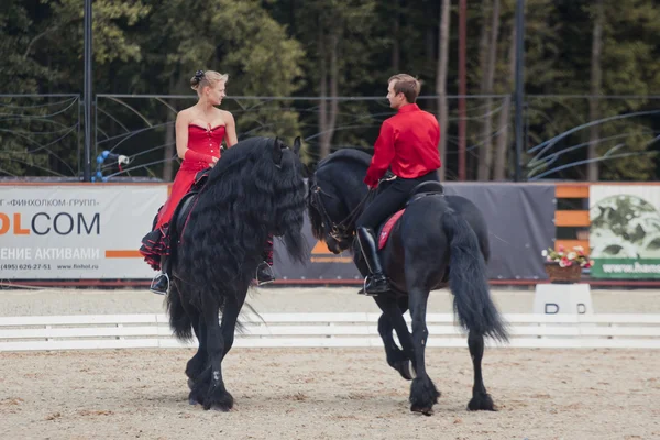 Demonstration performance - Tango on the Friesian horse of HBF "Kartsevo" — Stock Photo, Image