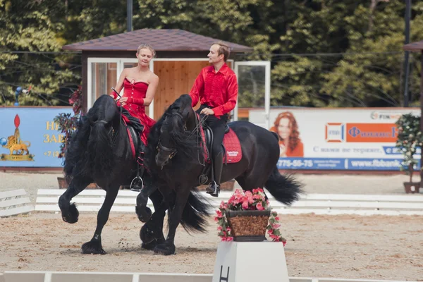 Demonstration performance - Tango on the Friesian horse of HBF "Kartsevo" — Stock Photo, Image