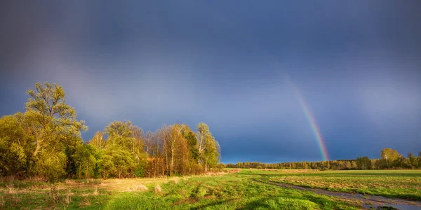 Regnbåge — Stockfoto