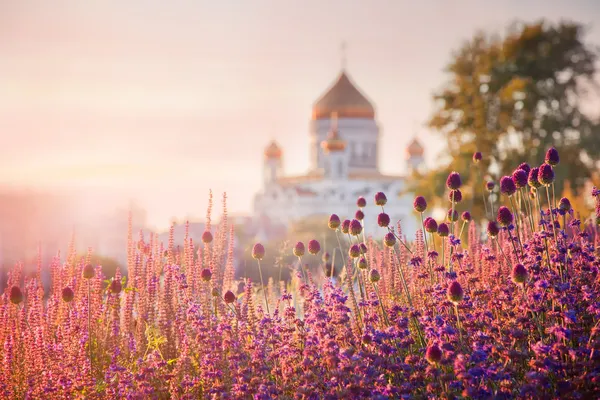 View of the Cathedral of Christ the Savior in Moscow — Stock Image View of the Cathedral of Christ the Savior in Moscow Stock Picture