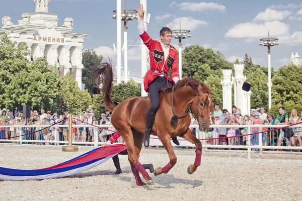 Performance Escuela de equitación del Kremlin —  Fotos de Stock