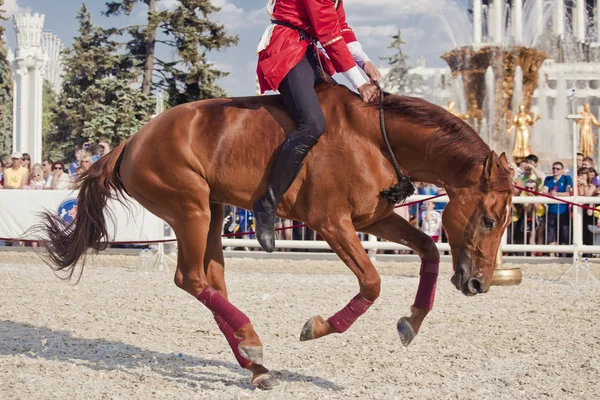 パフォーマンス クレムリン乗馬学校 — ストック写真