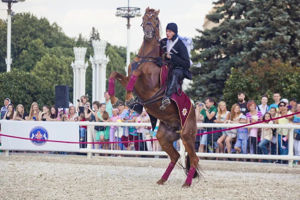 Performance Escuela de equitación del Kremlin — Foto de Stock