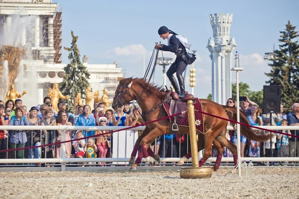 Performans kremlin binicilik okulu — Stok fotoğraf