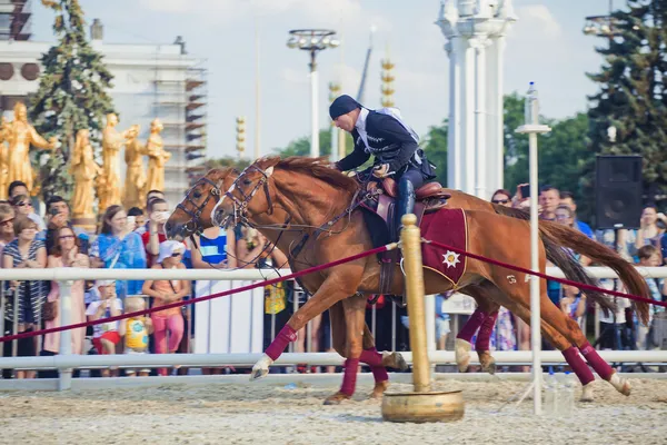 Performance Escuela de equitación del Kremlin —  Fotos de Stock