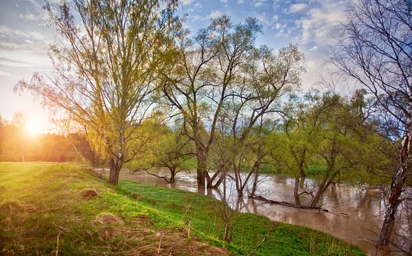 아침 빛에 강 — 스톡 사진