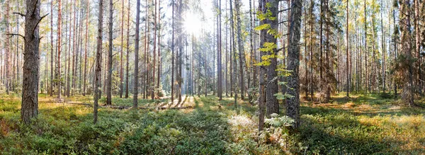 Russischer Nordnationalpark — Stockfoto