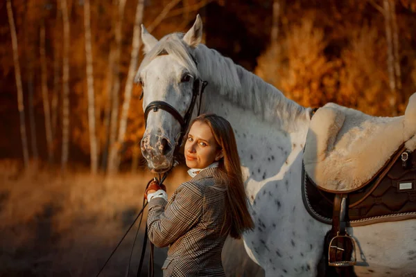 在秋天的公园里 英式猎人中的年轻貌美的女人穿着与Knabstrupper Horse和Irish Setter搭配的服装 — 图库照片