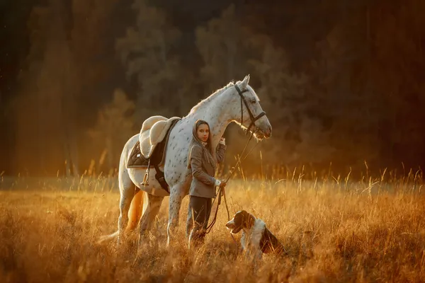 在秋天的公园里 英式猎人中的年轻貌美的女人穿着与Knabstrupper Horse和Irish Setter搭配的服装 — 图库照片