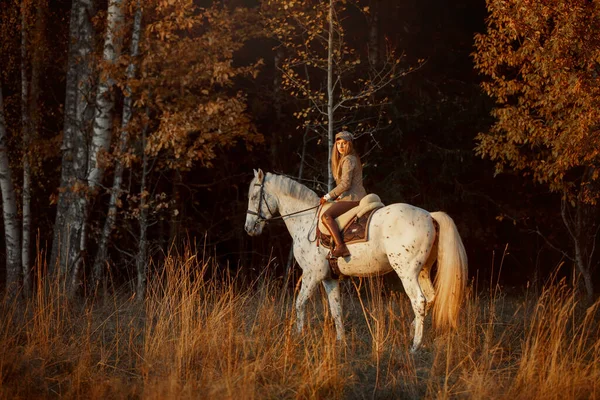 Ngiliz Avcısının Güzel Genç Bayanı Sonbahar Parkında Knabstrupper Atı Rlandalıyla — Stok fotoğraf