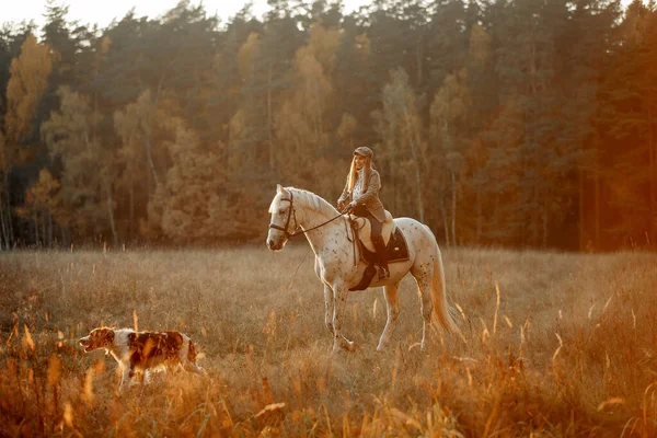 Schöne Junge Frau Englischer Jägertracht Mit Knabstrupper Pferd Und Irischem — Stockfoto